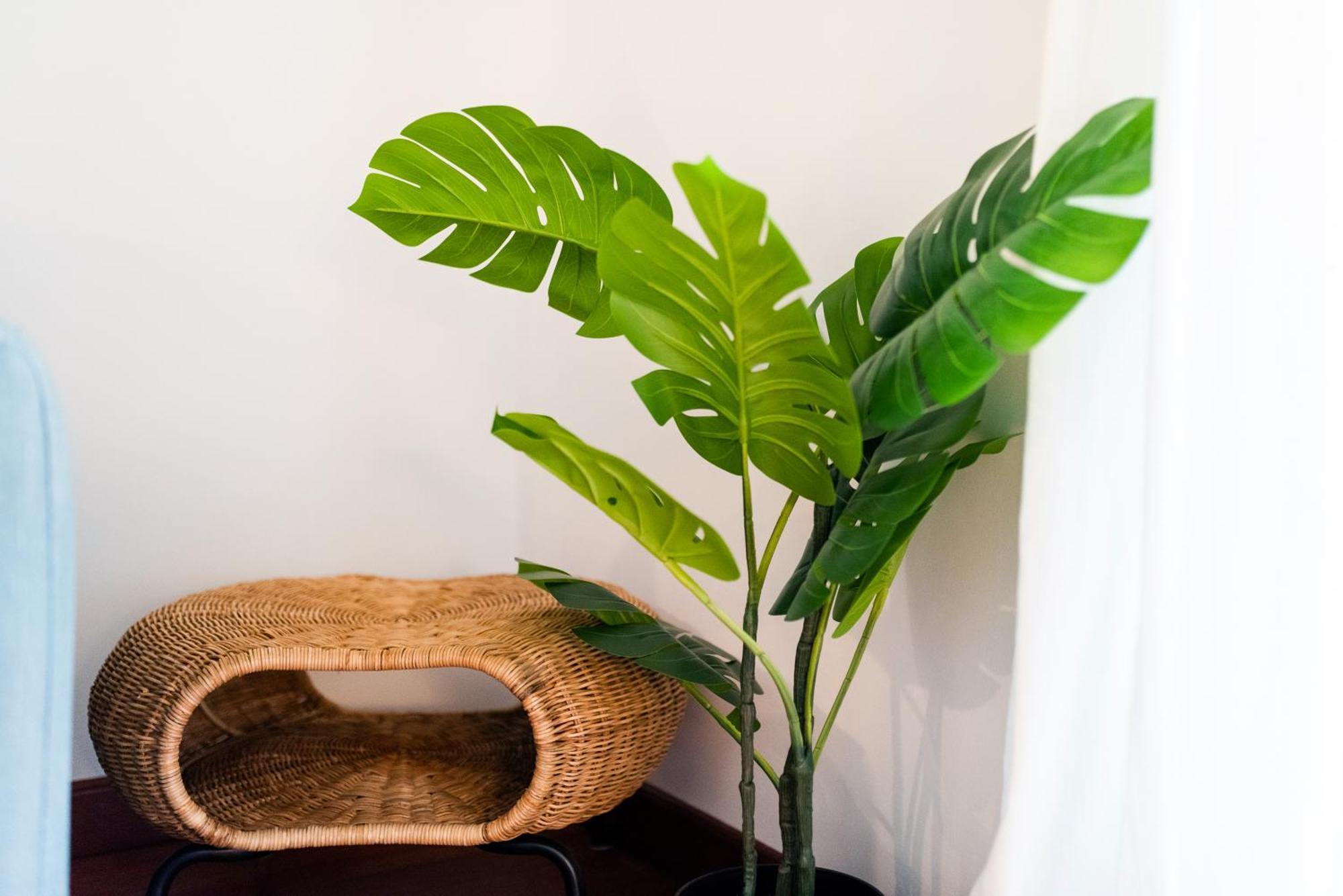 Apartamento Con Encanto, Centro Granada Exteriér fotografie
